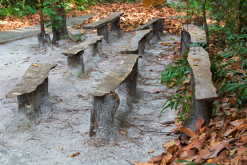 bench in national park