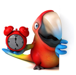 Fun parrot