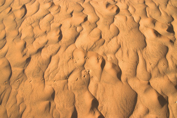 closeup of sand pattern and footprint of a beach in the summer.