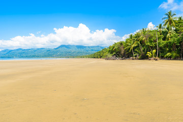 Marino Ballena National Park in Uvita - Punta Uvita - Beautiful beaches and tropical forest at pacific coast of Costa Rica