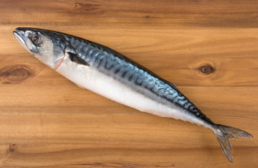 Fresh mackerel on wooden board surface. Top view, close up.