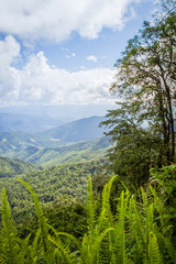 Obraz premium View point of valley on cloudy day