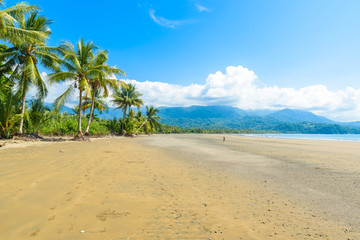 Marino Ballena National Park in Uvita - Punta Uvita - Beautiful beaches and tropical forest at pacific coast of Costa Rica