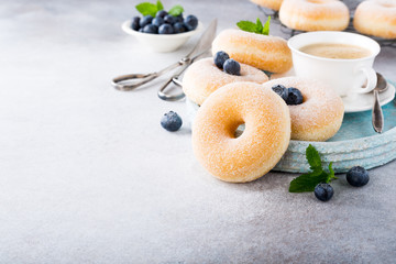Doughnuts with powdered sugar and fresh blueberries on light gray background. Selective focus. Copy space.