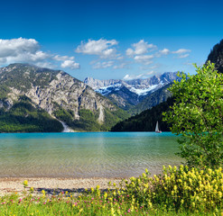 Plansee summer landscape (Austria).