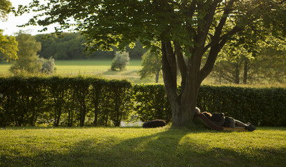 amoureux au repos sous un arbre