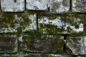 Old Brick Wall Covered With Green Moss