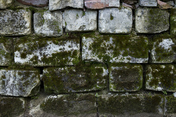 Ancient Brick Wall With Moss Growing On It . Use For Background