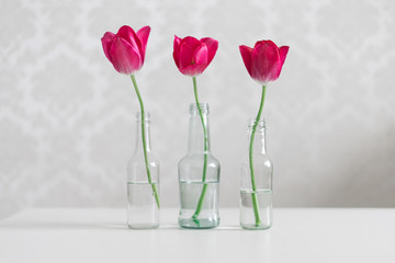 Three red tulips