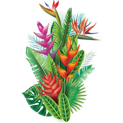 Arrangement from tropical plants
