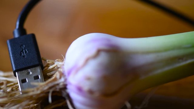 Cable and USB plug connected to a leek