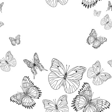 Background pattern of butterflies black and white hand drawn ink image. Perfect for fabrics, tissue and paper design.