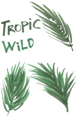 Hand drawn marker tropical leaves. Illustration isolated on white background. Jungle design elements