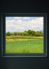 Village Landscape in Spring