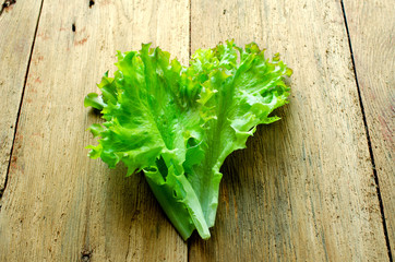 Fresh bright green Salad leaves over wood background