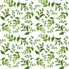 Watercolor hand drawn illustration seamless pattern background of Green branches with leaves on white