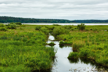 Pushkin mountains, Trigorskoye, landscape