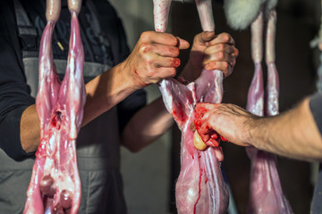 Fototapeta na wymiar Butcher preparing rabbit meat