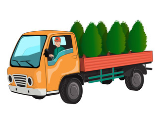 Truck with thuja
