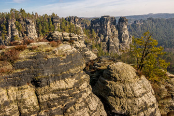 Steile Felswände ragen in der Sächsischen Schweiz aus dem Wald empor