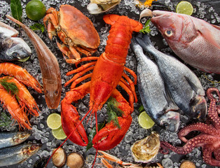 Many kind of seafood, served on crushed ice