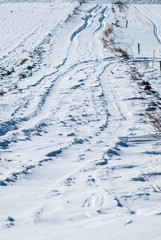 Trails on snow