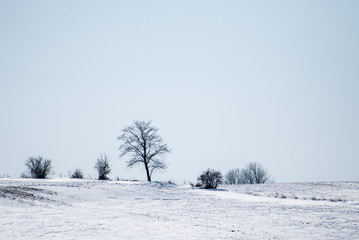 Fototapeta na wymiar Rural landscape in winter