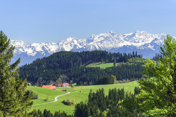 ländliche Szenerie in der Ostschweiz