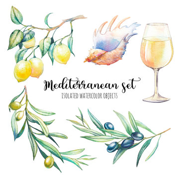 Watercolor Mediterranean set. Hand drawn food and natural objects isolated on white background. Sea shell, olive tree branches, lemon branch, glass of wine. Traditional elements