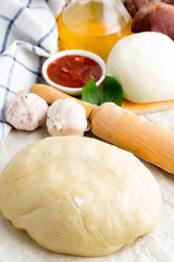 Ingredients and dough for pizza.
