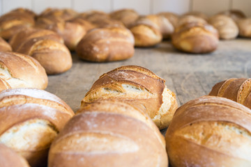 Fresh baked bread