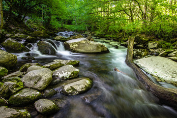 Smoky Mountain Stream. Smoky Mountain stream rushes through the lush forest of the Great Smoky Mountains National Park along the Little River Road