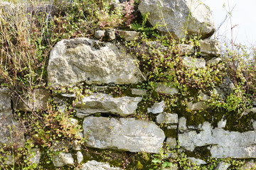 Bewachsene Steinmauer