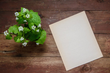 Small white flowers on a wooden background with sheet of paper with copy space