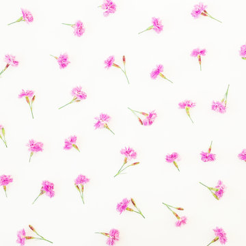 Floral pattern of pink flowers on white background. Flat lay, top view.