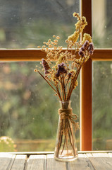 Dried flower in vase on table