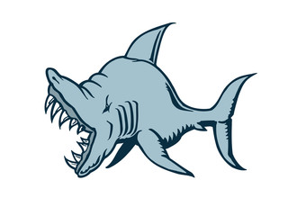 shark cartoon character. Vector Illustration.