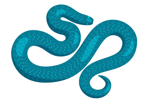 Slither Blue Python Snake Top View Vector Icon