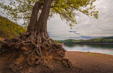 Idyll am Edersee