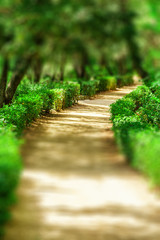Barcelona Attractions, Labyrinth Park of Horta in Barcelona, Path in the Park, Catalonia, Spain....