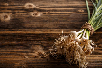 Obraz premium Bunch of fresh garlic