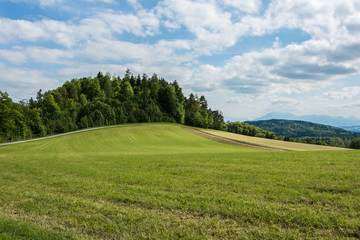 Panoramic view of idyllic beautiful scenery in the alps with fresh green meadows and blue sky with clouds
