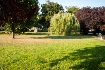 Fototapety na wymiar - Fototapeta24.pl