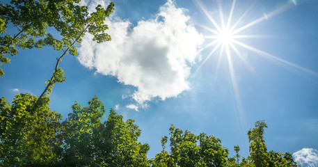 Fototapeta premium Sunbeams on the blue sky and white clouds.