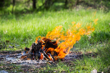 fire on green meadow