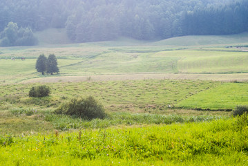 Countryside sunrise