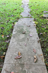 garden  walkway