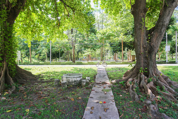 garden  walkway