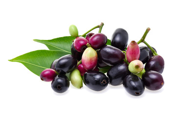 Jambolan plum or Java plum on white background