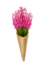 Bouquet of pink hyacinth flowers, isolated on white background. Clipping path